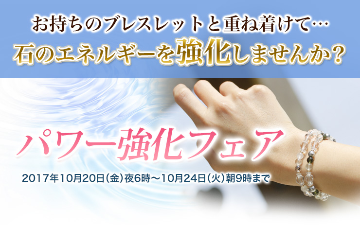 パワー強化フェア