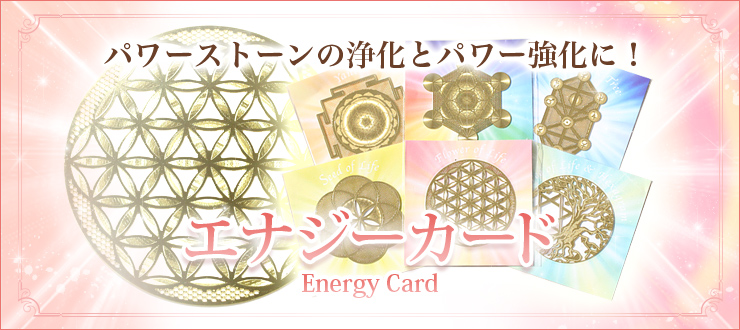 ¥¨¥Ê¥¸¡¼¥«¡¼¥É