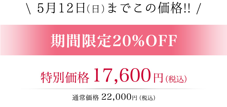 無くなり次第販売終了!今だけなんと一万円引き!