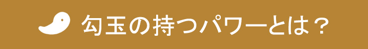¸û¶Ì¤Î»ý¤Ä¥Ñ¥ï¡¼¤È¤Ï