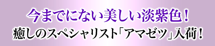 ¥¢¥¼¥Ä¥é¥¤¥È