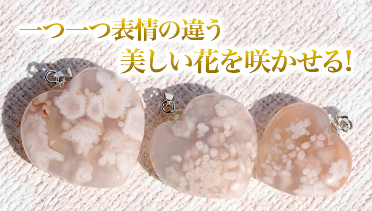 一つ一つ表情の違う美しい花を咲かせる!