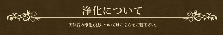 浄化について