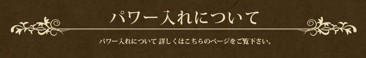 パワー入れについて