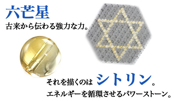 本日の新着アイテム