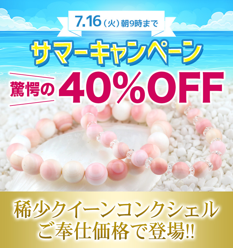 サマーキャンペーン!驚愕の40%OFF!!稀少クイーンコンクシェルがご奉仕価格で登場