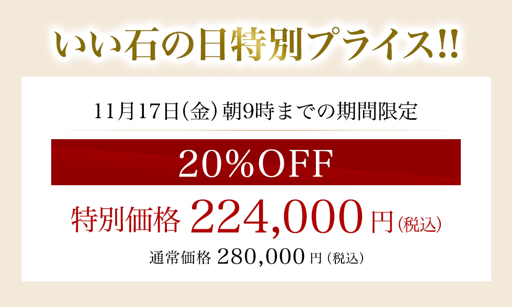 ΂̓ʃvCX20%OFF