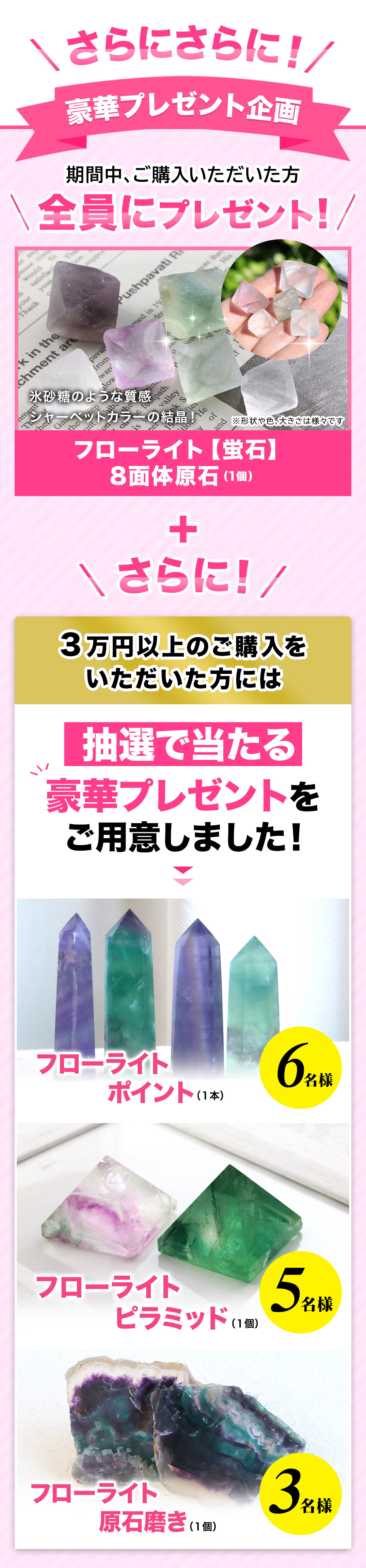 蒴啝I̎^cSTCgSi20%OFFBIGZ[JÂ܂I