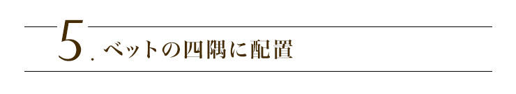 T.xbg̎lɔzu
