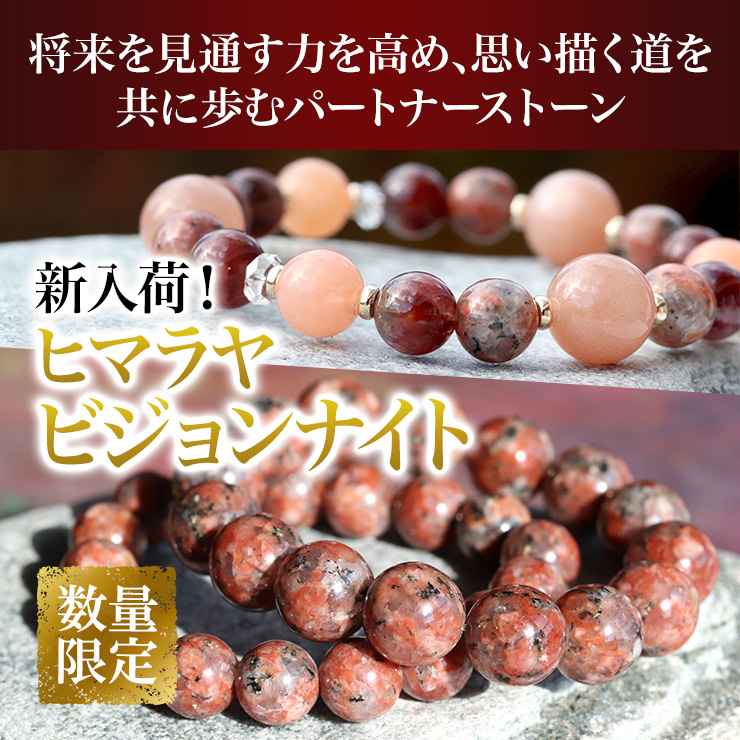 将来を見通す力を高め、思い描く道を共に歩むパートナーストーン「ヒマラヤビジョンナイト」