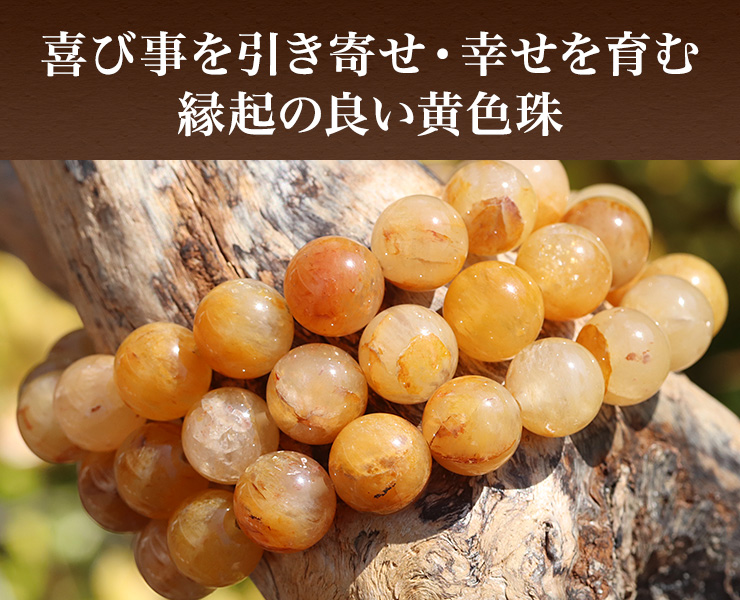 ��ю��������񂹁E�K������މ��N�̗ǂ����F������I�I