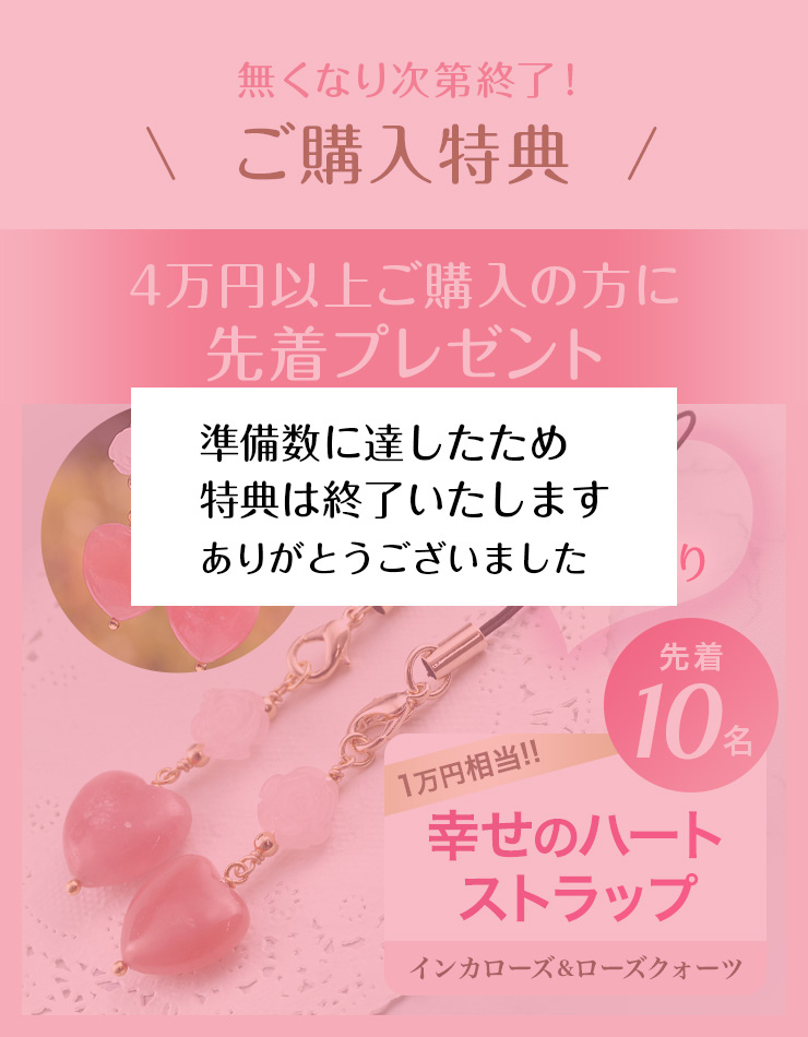 無くなり次第終了!ご購入特典