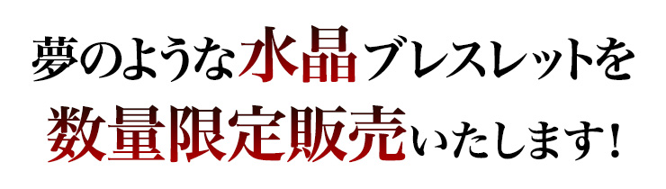 ̂悤ȐuXbg𐔗ʌŔ̔I