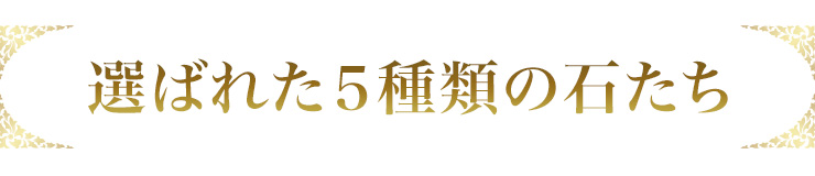 Áª¤Ð¤ì¤¿5¼ïÎà¤Î¥Ñ¥ï¡¼¥¹¥È¡¼¥ó