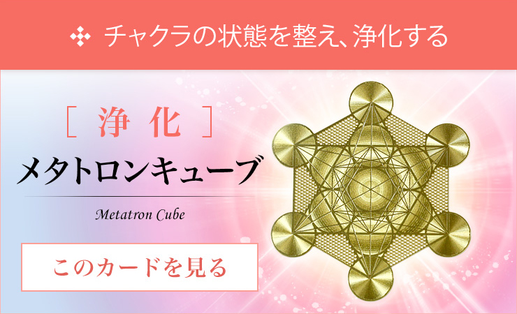 ¥á¥¿¥È¥í¥ó¥¥å¡¼¥Ö