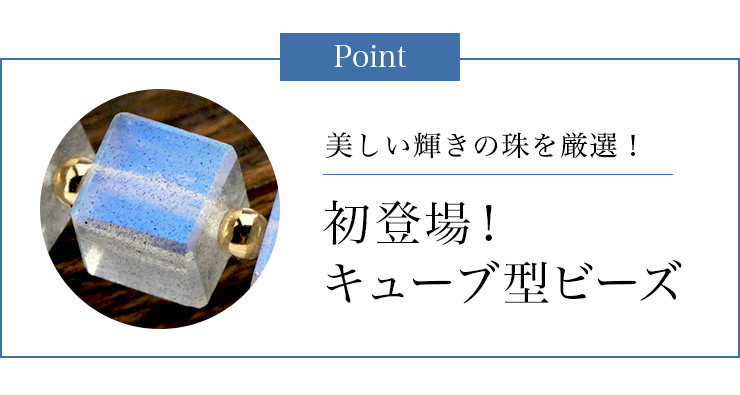 Èþ¤·¤¤µ±¤¤Î¼î¤ò¸·Áª¡£½éÅо졪¥¥å¡¼¥Ö·¿¥Ó¡¼¥º