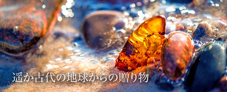 遥か古代の地球からの贈り物