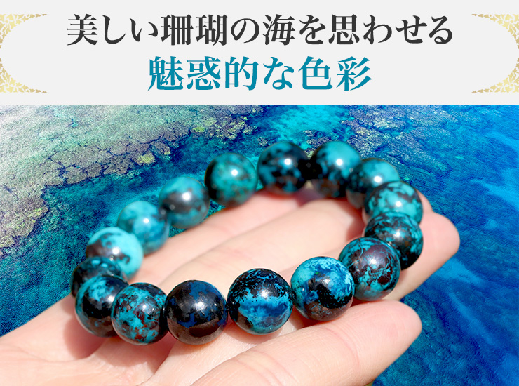 美しいサンゴの海を思わせる魅惑的な色彩