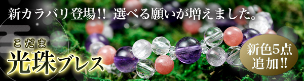 本日の新着アイテム