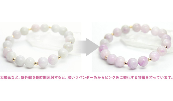 本日の新着アイテム