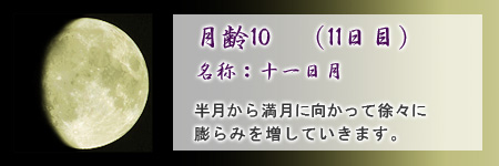 今夜の月