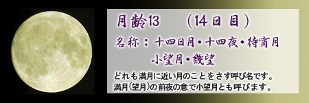 今夜の月