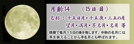 今夜の月