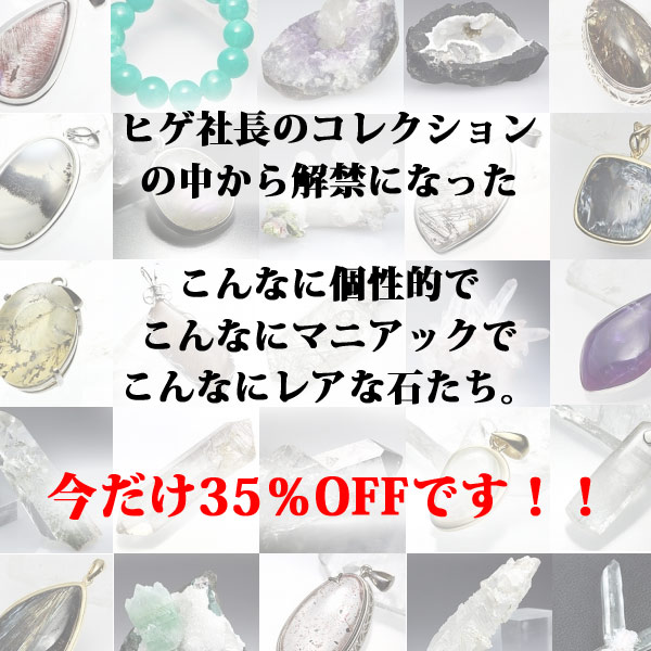 本日の新着アイテム