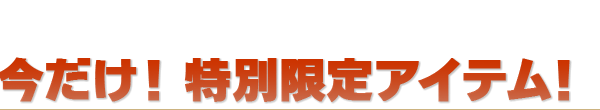 今だけ!特別限定アイテム