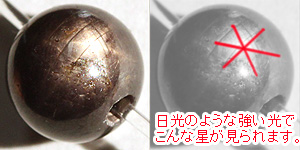 本日の新着アイテム