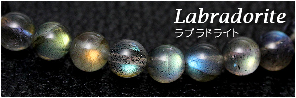 新着アイテム