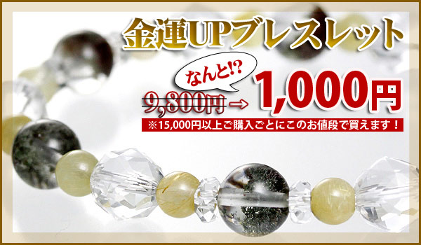 本日の新着アイテム